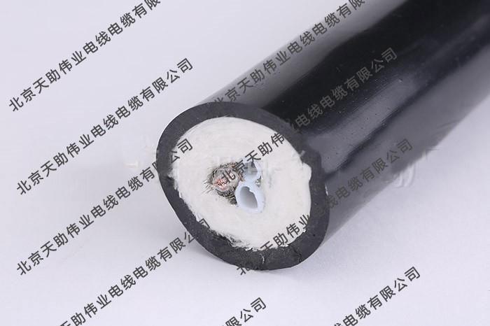 电伴热带的设计工艺要求有哪些